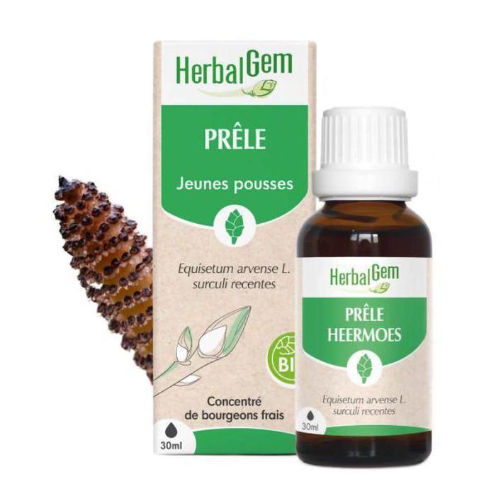 Macérat Concentré - Herbalgem - Prêle Bio - 30ml - Sans conservateur - Pour adultes
