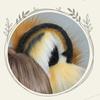 Cute Headband for Cat Tiger Ear Shape Hair Hoop Party Headpiece Cosplay Costume
