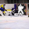 Hockey Net Goalie Target Street Hockey Net Training Target Hockey Shooting Training Aid for Practicing Shooting Accuracy