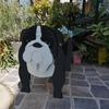 Garden Art Dog and Cat Flower Pot Set