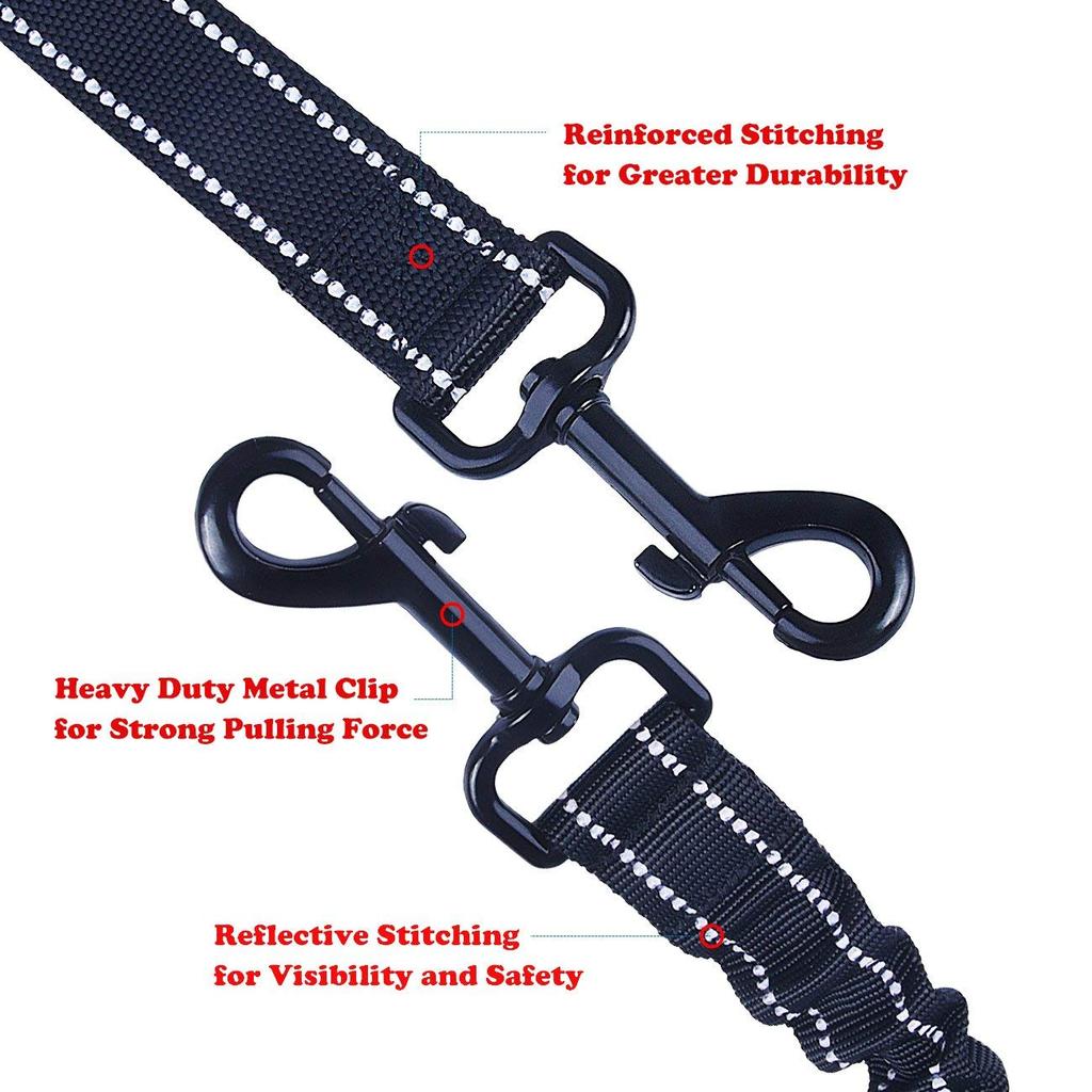 double dog leash swivel