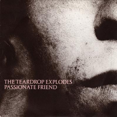 7inch Record TEARDROP EXPLODES  Passionate Friend TEAR5 Mercury 1981 UK Rock Used