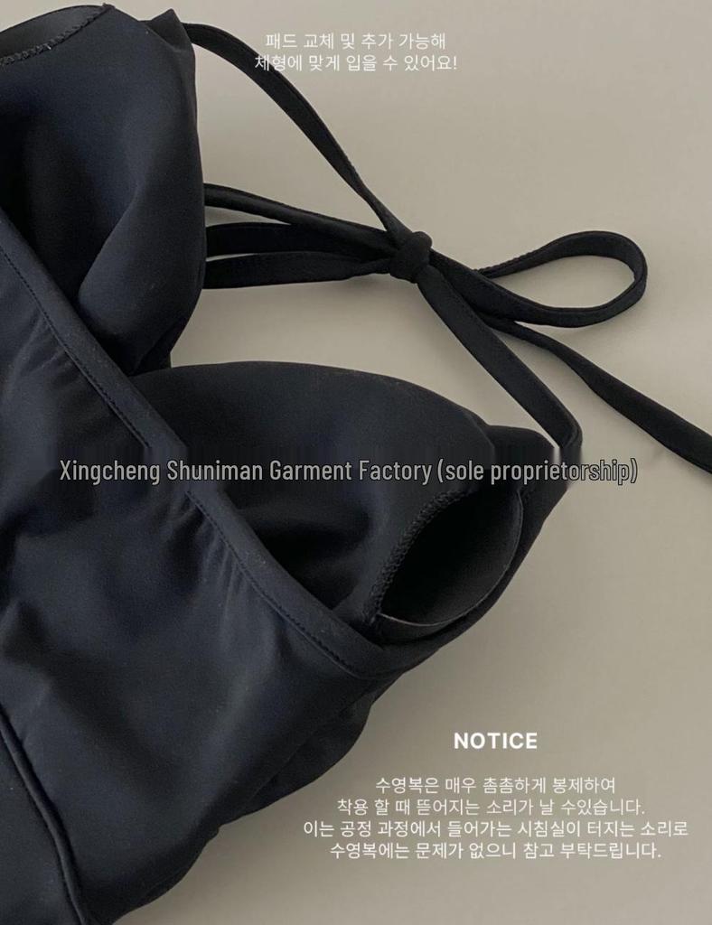 Women's High-End Ins Style Bikini: Sexy Solid Color Swimwear for Small Bust with Gathered Design, Perfect for Hot Springs