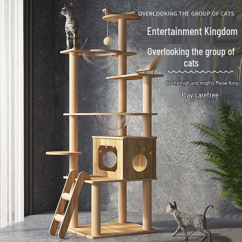 Jingzhou Multi-Level Cat Tree & Activity Center