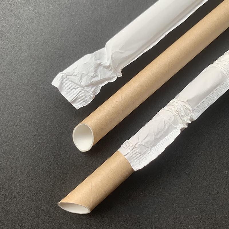 Penguin Tuan Tuan Individually Wrapped Biodegradable Paper Straws