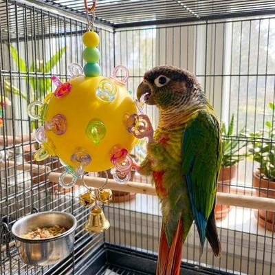 Plastic Parrot Chewing Toy Detachable Bite Resistant Bird Cage Toy Auditory Stimulation with Bell Parrots Chew Swing