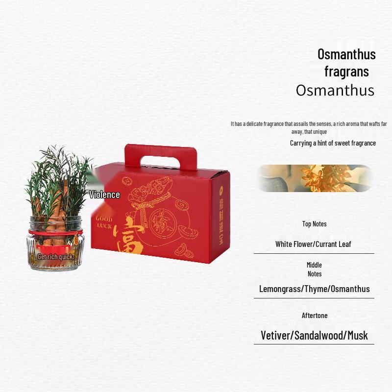 Miaoyijia DIY Prosperity Aromatherapy Ornament