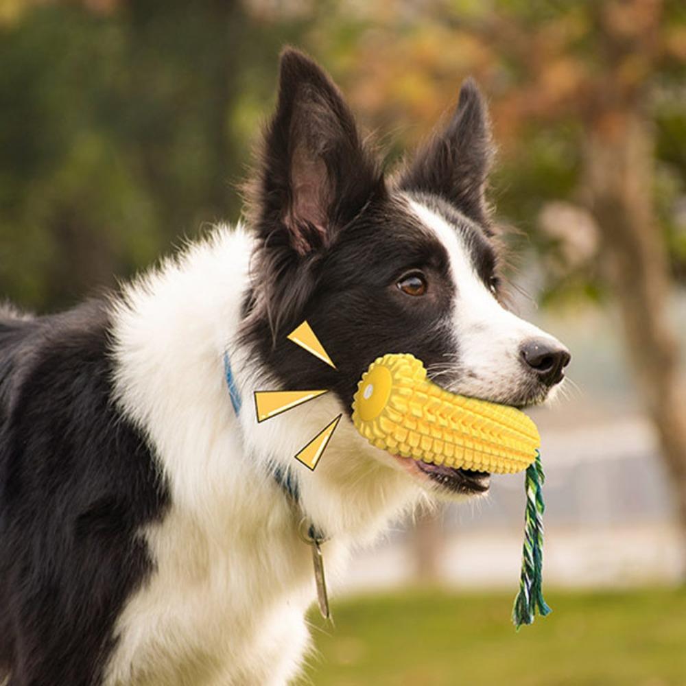 Corn Shaped Squeaky Dog Toothbrush Chew Toy Durable Teething Pet Supplies