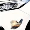 Ørn og Hjertefjær Bilklistremerke, Morsomt Vanntett Klistremerke for Biler, Lastebiler, Motorsykler, Vegger, Vinduer, PVC Materiale