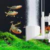 Bubble Disk Air Refiner Enhance Oxygen Levels Quiet Compact Design Low Vibration Fish Tank Aerator for Fish Tank Aquarium Hydroponic