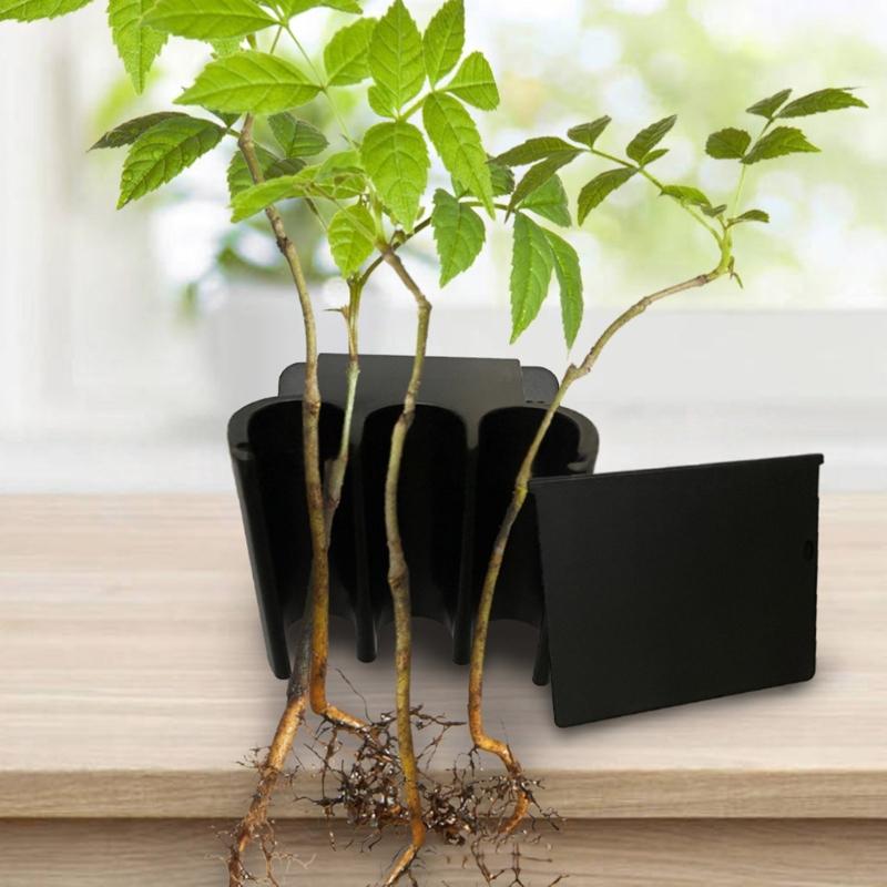 Hydroponic Rack for Aquariums Border Featuring Adjustable and Durability ABS Construction for Plant Displays