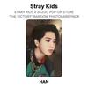 Stray Kids x SKZOO POP-UP STORE 'THE VICTORY' RANDOM PHOTOCARD PACK Official Photocard