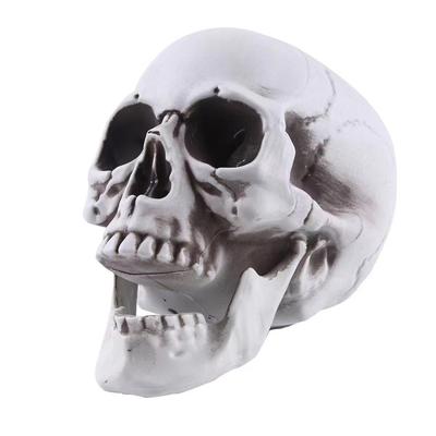 Skull Props: Halloween Haunted House & Escape Room Decorations