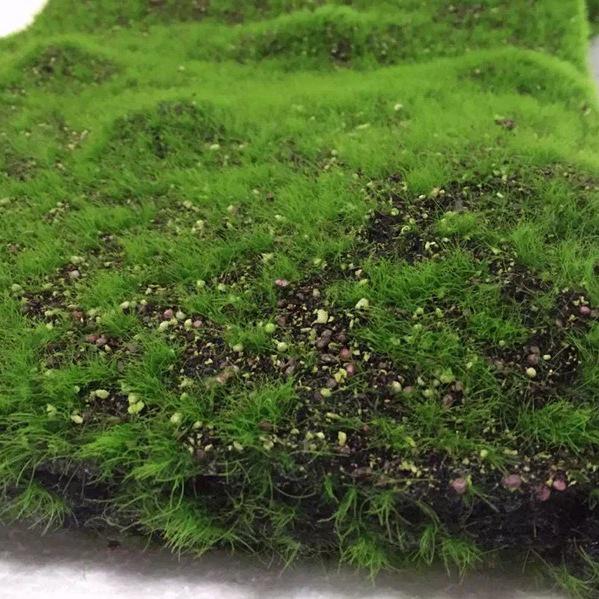 Artificial Green Moss for Wall Display and Bonsai Scenery