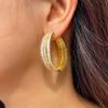 Light Luxury Design Wheat Earrings Jewelry Micro-Inlaid Zircon Large Circle Earrings