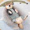 Quick Drying Dog Cooling Jumpsuit Breathable Dog Sunscreen Costume  Spring Summer