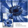 Minimalism Canvas Painting Print Wall Picture for Living Room Nordic Style Beautiful Blue Flowers Posters Home Decor