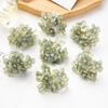 Simulation Hydrangea Shooting Prop Head DIY Handmade Hydrangea Wedding Lead Hydrangea Flower Wall Single Small Hydrangea Fake Flower Decoration