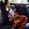 1pc. Cartoon Lion King Blanket, Soft Throw for Home Decor, Perfect Gift for Friends and Family, Seasonal Use, Cozy and Warm Blankets for Cou
