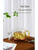 High Temp Resistant Borosilicate Glass Tea Cup with Lid & Handle for Men and Women - Stylish Design