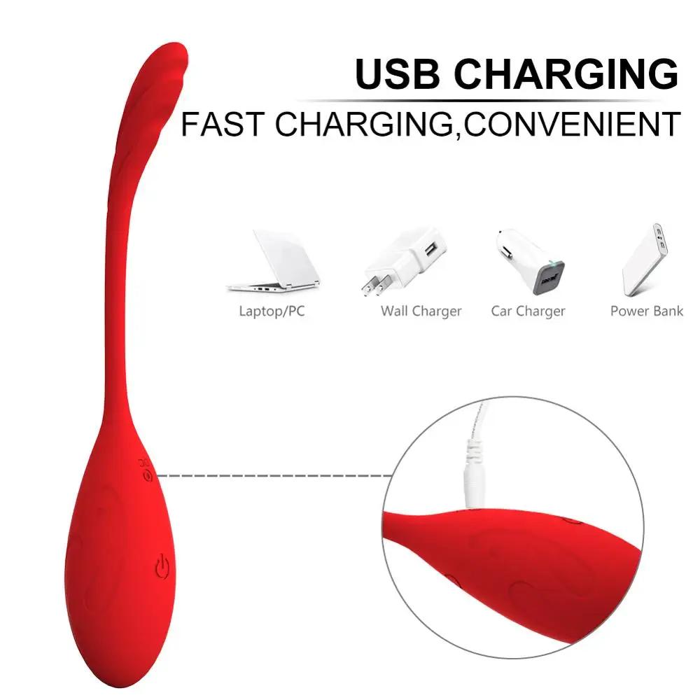 Vibrating Egg Female Vibrator Panties Clitoris Stimulator Wireless Remote Vaginal G-spot Toys for Adults18 Sex Toys for Women