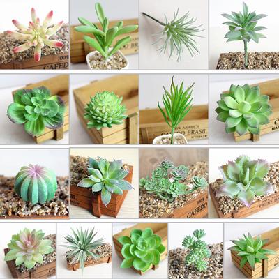Artifical Plastic Succulent Plant Cactus Echeveria Flower Home Office Decor Gift