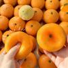 Simulated Tangerine Stress Ball Soft Squeeze Sensory Toy DIY Handmade Non-Toxic for Kids Adults Anxiety Stress Relief