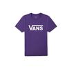 Set In Sleeve T Shirt Men's Purple VN0A4MM6Y0X