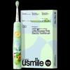 Q4 Little Dinosaur Kids Sonic Electric Toothbrush