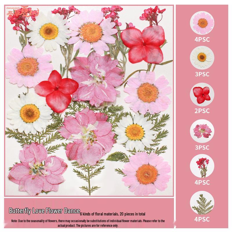Handmade Pressed Flower Bookmark and Epoxy Sticker Pack with Real Leaf and Plant Specimens for DIY Face Makeup.