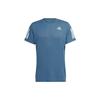 Running T Shirt Men's Blue HL5988