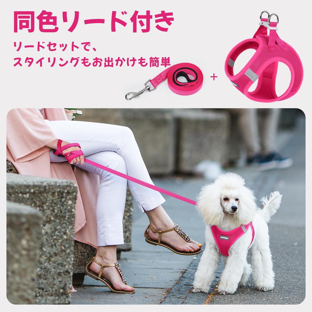 Rabbitgoo Dog Harness and Leash Set for Extra and Large Soft Velcro and Reflective Gentle on the Nighttime Easy to Put on and Take Hand Safe for and