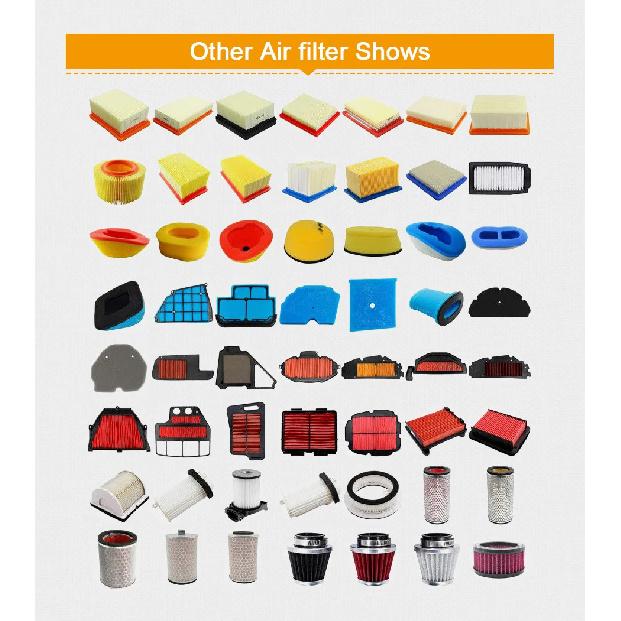 Road Passion Motorrad Luftfilter Reiniger Für Tiger 800 XC XCX XR XRX 2010-2019 T2200557