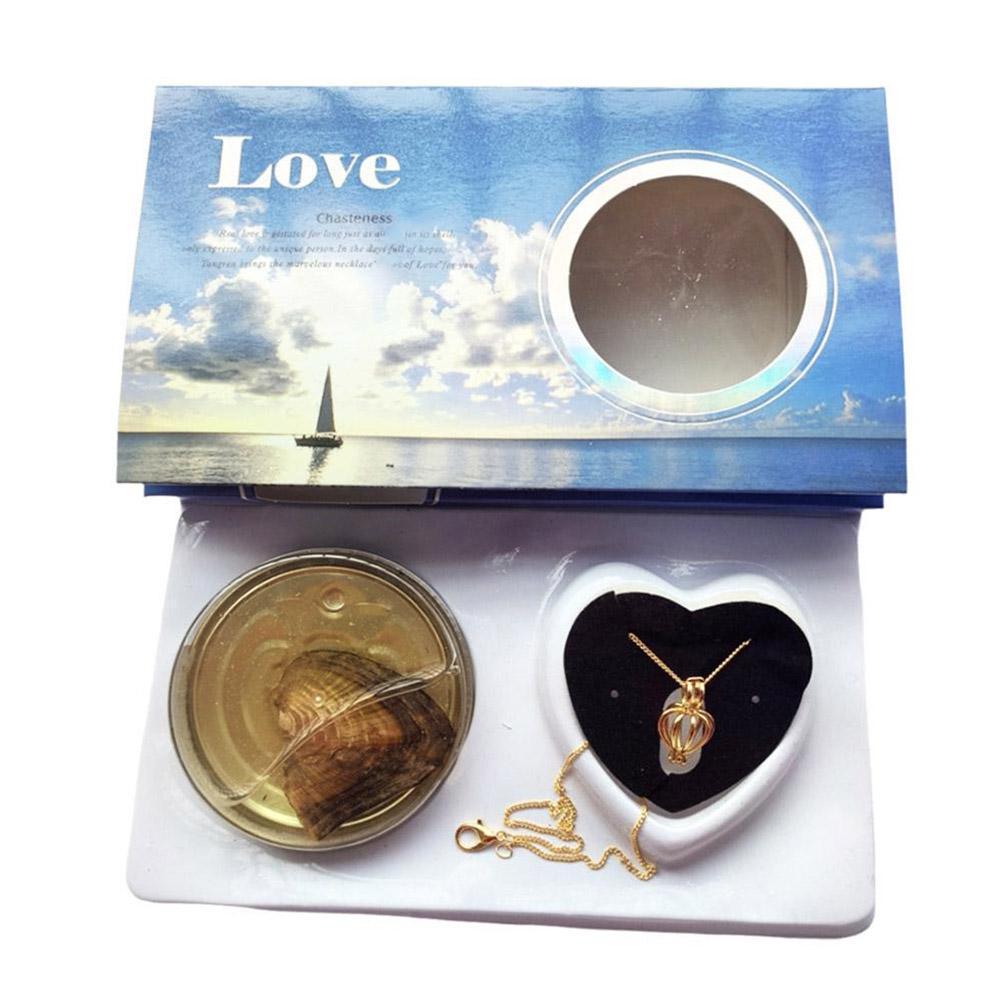 Wish Pearl Necklace Kit Innovative Chain Charm For Holiday Gift Diy Jewelry Making DIY Wish Pearl Necklace Kit