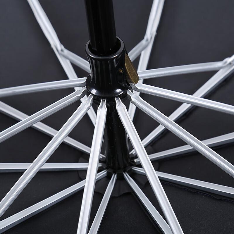 MAYDU Large Automatic 10-Rib Foldable Umbrella