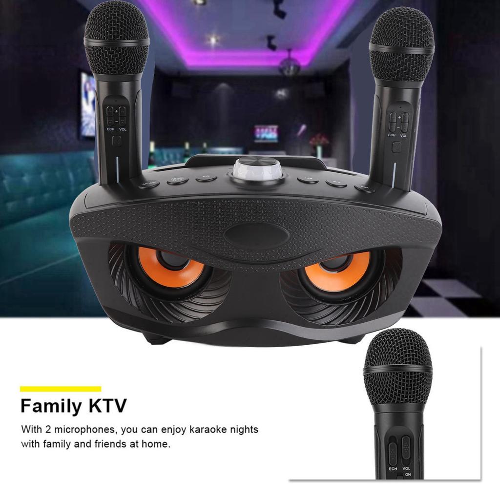 Bluetooth Speaker Home KTV Karaoke Bluetooth Speaker with Two Microphone (Black)