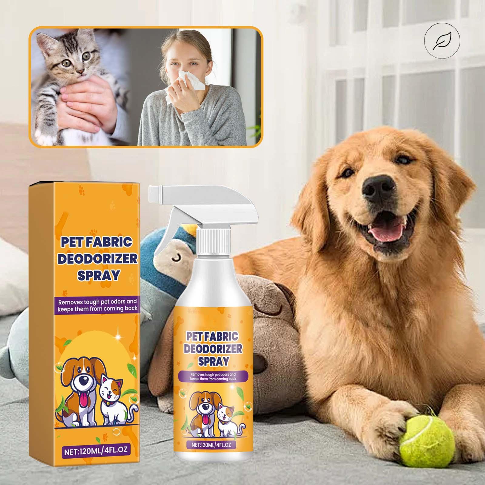 Pet Odor Eliminator Spray For Home Natural Silver Cat Dog Smell And Odor Eliminator For Carpet Sled Dog Accessories Shop оранжевый