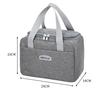 Cationic Insulated Large Capacity Lunch Handbag