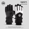 Longchan Men's Winter Warm Touchscreen Ski & Outdoor Gloves