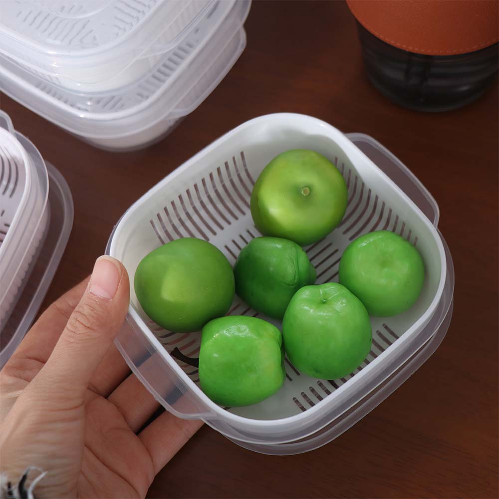 6Pcs Double Layer Food Storage Containers with Lids Rice Crisper  Food Storage