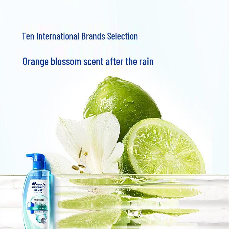 Head & Shoulders Anti-Dandruff & Oil Control Shampoo