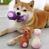 Durable And Entertaining Squeak Toy For Dogs In Attractive Cartoon Shapes And Styles