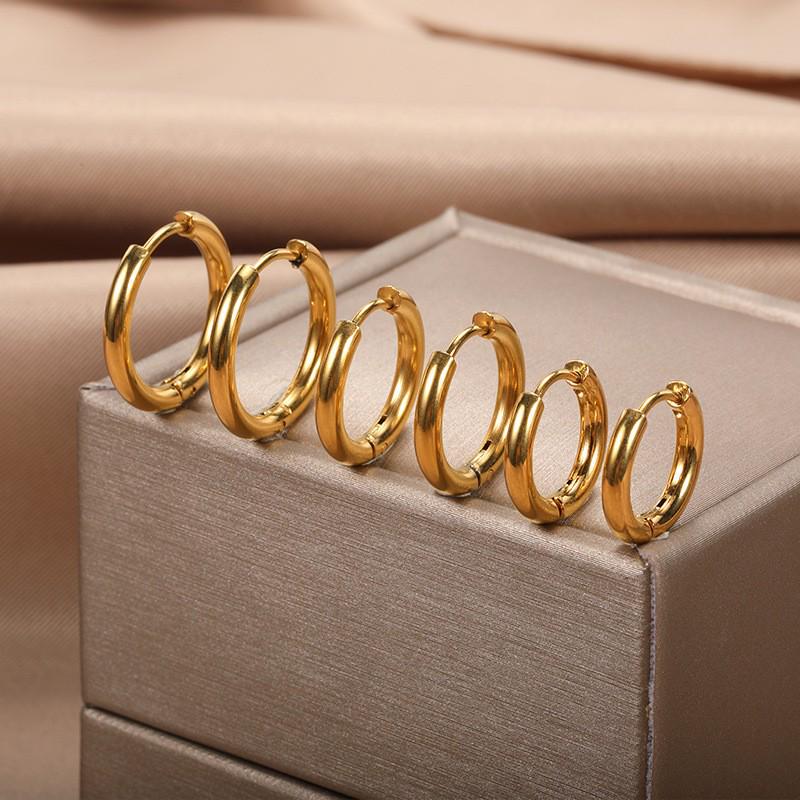 High-End Titanium Steel Hoop Earrings: Luxurious, Simple, Round Fashion Jewelry for Women