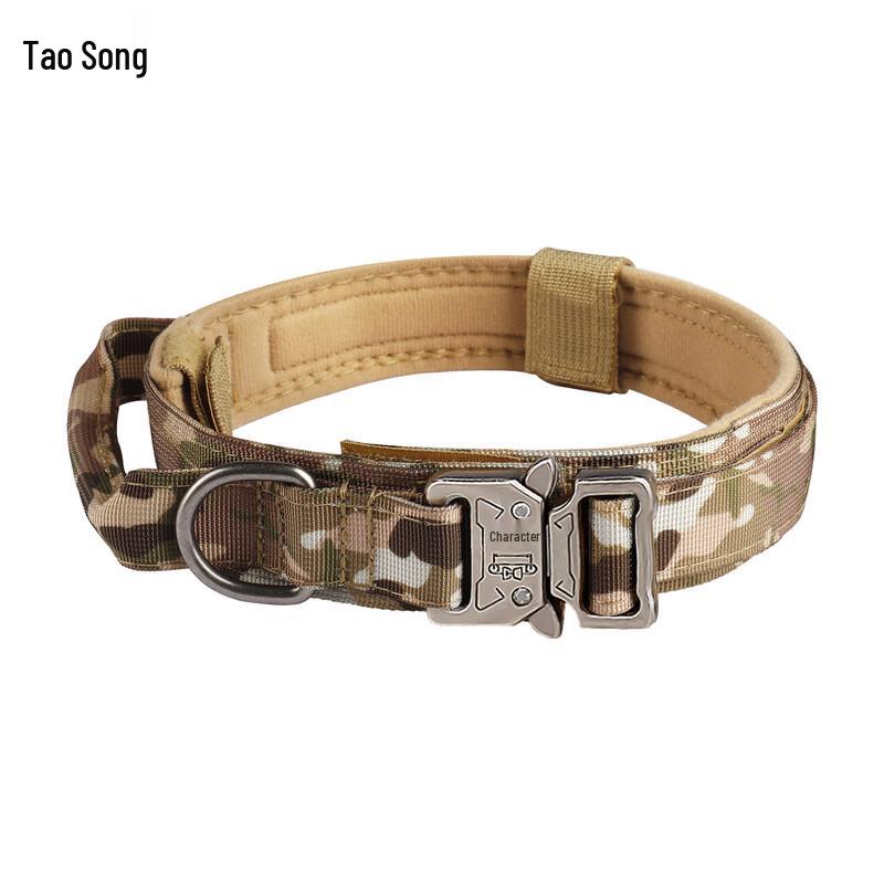 Outdoor Training Pet Collar and Leash Set