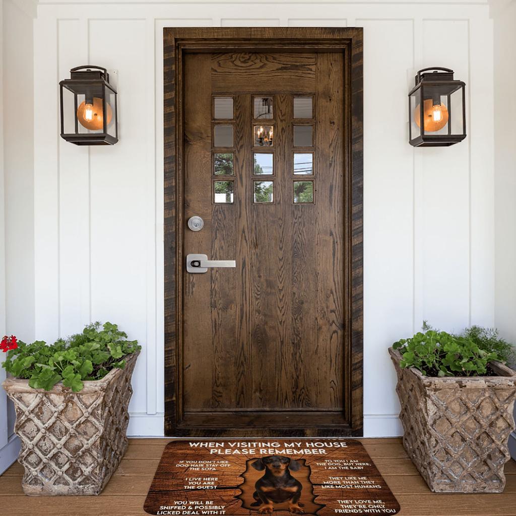 When Visiting My House Please Remember Dachshund Front Door Entrance Mats Outdoor  Bathroom Kitchen Doormat Bedroom Carpet Rug