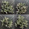 Head Artificial 150 Gypsophila Flowers For Wedding Bouquets And Decorations Home