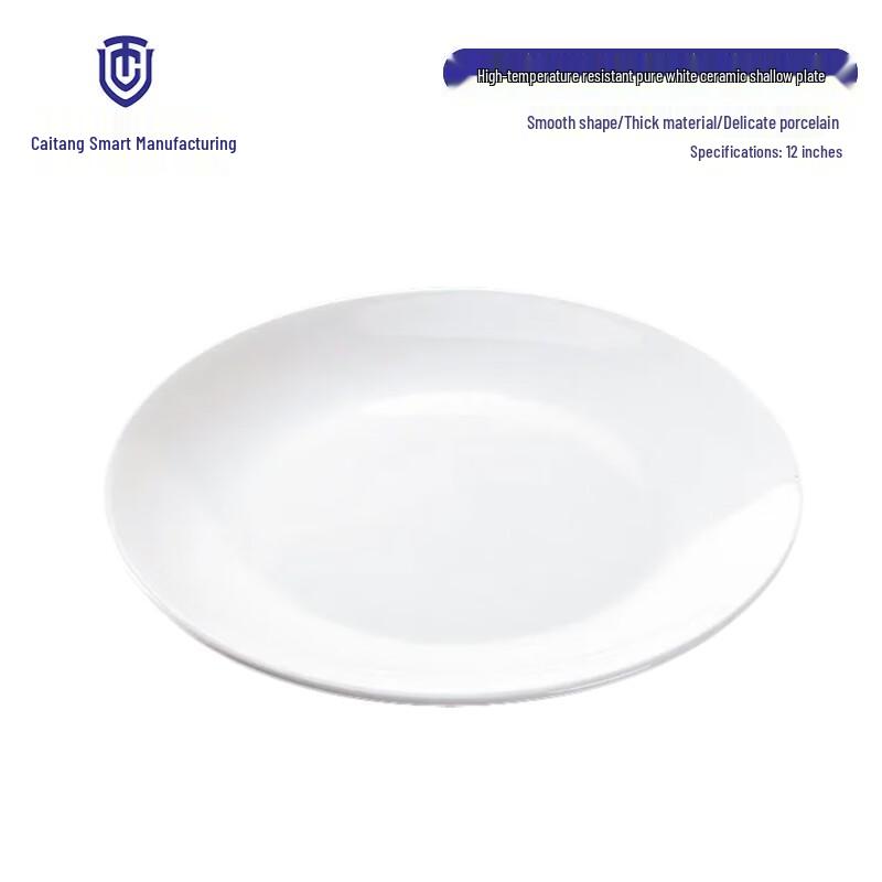 European Style White Ceramic Dinner Plate