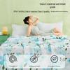 Hengyuanxiang Class A Washable Antibacterial Summer Quilt