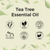 Эфирное масло Чайного дерева (10 мл), Tea Tree Essential Oil,  Aroma Treasures
