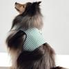 CROOKTHECHIHUAHUA Hound Pattern Harness - GREEN